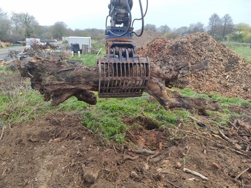 Broyage Bois à Rennes : Lemaitre TP, Votre Expert Terrassement et Assainissement